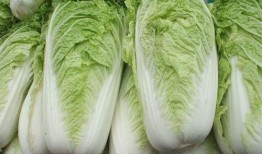 白菜吃鸡爆料视频