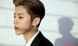 鹿晗家世爆料韩国人视频,韩国人视角下的真实爆料