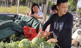 亳州网红吃瓜事件视频,一场网络热议的瓜田奇遇