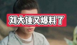 刘大锤最新爆料封面图,封面图背后的惊人真相