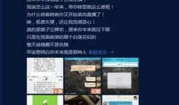 助理最新爆料,揭秘明星幕后故事