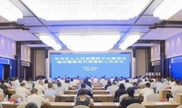 饿货现场大爆料视频下载,大爆料视频背后的惊人真相