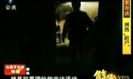 赶尸先生手机在线观看,手机在线惊悚揭秘