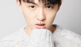 郑伟爆料视频播放全集下载,揭秘事件真相全貌