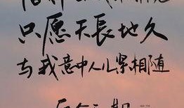 逆爱后会无期在线观看,一场跨越时空的深情邂逅