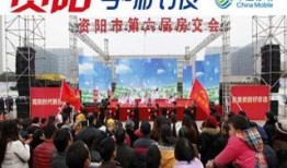 资阳摆摊爆料今日新闻报道,民生经济新亮点，市民生活新选择