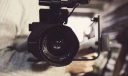 八哥爆料赤犬视频播放,播放量惊人揭秘