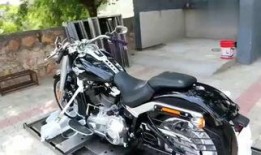 哈雷最新爆料视频,独家内幕大公开！