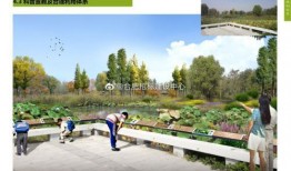 安徽公园爆料最新消息