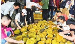 南宁水果爆料事件最新情况,真相大白，市场秩序再获保障