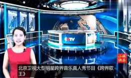 中央卫视爆料新闻直播,新闻直播背后的真实故事