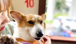 卷毛吃瓜视频爆料,揭秘娱乐圈惊人内幕