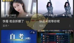 爆料四川直播视频大全,揭秘川蜀风情与网红魅力