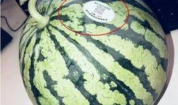 吃瓜大合集网红,网红圈的那些事儿