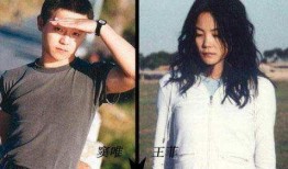 那英爆料王菲窦唯视频播放,揭秘娱乐圈不为人知的一面