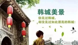 韩城真实爆料视频大全,真实爆料视频大盘点