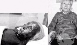 哈尔滨老太太爆料视频,揭露惊人真相