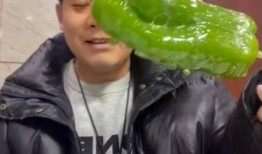 亳州网红吃瓜事件视频,一场网络热议的瓜田奇遇