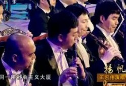 皇家小虎爆料视频大全,视频大全精彩瞬间回顾