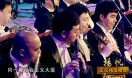 皇家小虎爆料视频大全,视频大全精彩瞬间回顾