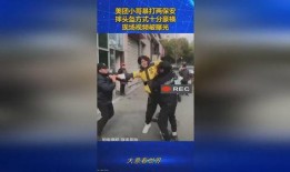 美团保安爆料事件视频下载,事件真相与行业反思