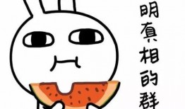 娱乐吃瓜喵不务正业版,揭秘明星不务正业背后的秘密