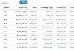 瑞波币最新爆料消息,揭秘其未来发展趋势与潜在风险