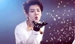 陈哲远综艺粉丝爆料视频,粉丝爆料视频揭秘精彩瞬间