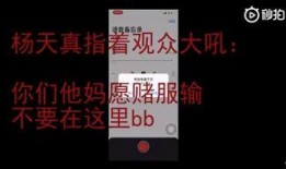 爆料杨天真录音视频大全,揭秘娱乐圈幕后真相