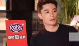 霍建华台湾爆料视频播放,揭秘娱乐圈不为人知的一面