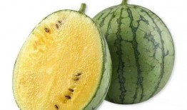 qq免费吃瓜黄料,揭秘网络社交背后的秘密