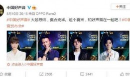 网红爆料好声音视频播放,好声音幕后精彩瞬间，视频播放引发热议