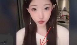 李恩爆料直播在哪看啊视频,揭秘直播平台及观看方法