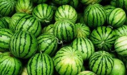 南宁水果爆料事件最新情况,真相大白，市场秩序再获保障