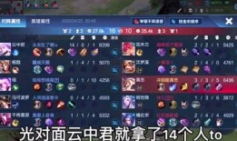 小新王者爆料视频大全,揭秘视频大全中的精彩瞬间与幕后故事