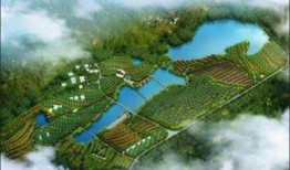 闽侯新闻爆料网最新消息,最新动态速览，热点事件聚焦