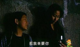 萍果电影在线观看,畅享云端观影新体验