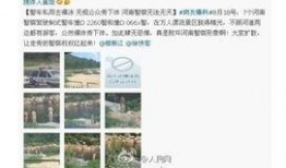 河南网友爆料新闻,惊现神秘事件，真相令人震惊！