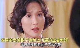 情陷电影在线观看,一场跨越时空的浪漫邂逅