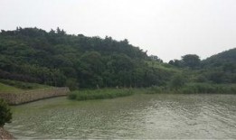 苏州西山爆料事件视频