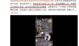 爆料香肠视频大全最新,最新爆料视频大全深度解析