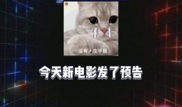 娱乐课代表爆料