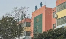 南阳学校爆料事件最新情况,最新进展与调查结果揭晓