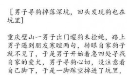 整理新闻爆料的段子手写,新闻爆料背后的趣味真相