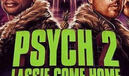 床上丽拉在线观看,在线观看，揭秘都市女性的情感纠葛