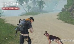 海岛最新玩法爆料,揭秘海岛最新玩法攻略