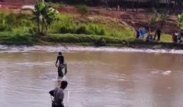 抓鱼吃瓜视频在线观看免费,在线观看视频盛宴