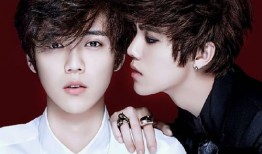 鹿晗家世爆料韩国人视频,韩国人视角下的真实爆料