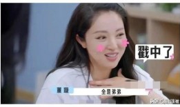 娱乐圈吃瓜爆料沙雕小说,瓜田里的沙雕爆料传奇