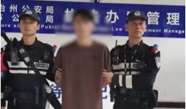 湖北陈女士最近爆料新闻,揭露惊人内幕，引发社会关注